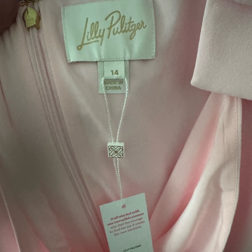 NWT Size 14 Bernice Maxi Dress - Pink Muse - Pink of the Pines - Picture 5 of 9